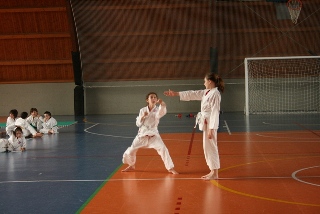 Image description